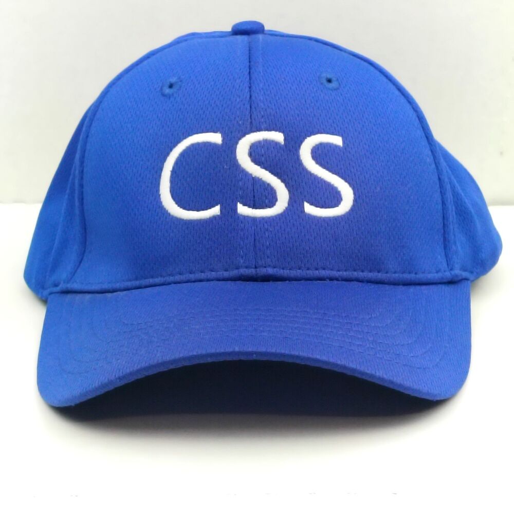 Microsoft CSS Promo Baseball Cap Hat Computer Science Technology